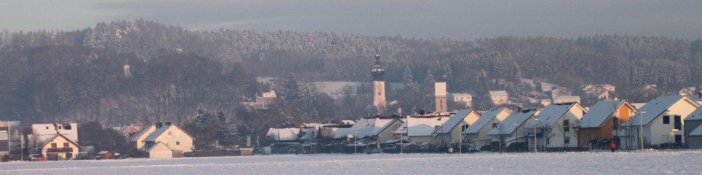 Logo BF-Wartenberg Winter